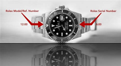 how to find your rolex model number datejust|2021 rolex datejust 41 mm.